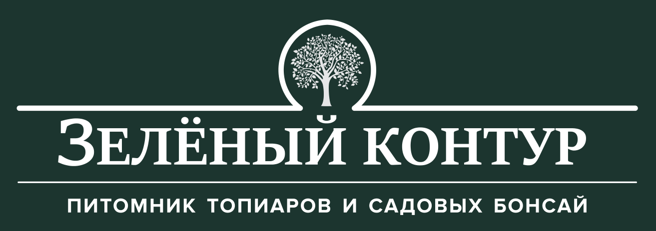 icon - /uploads/s/r/v/l/rvl3td8t0ets/img/full_Ebxdr2xF.png